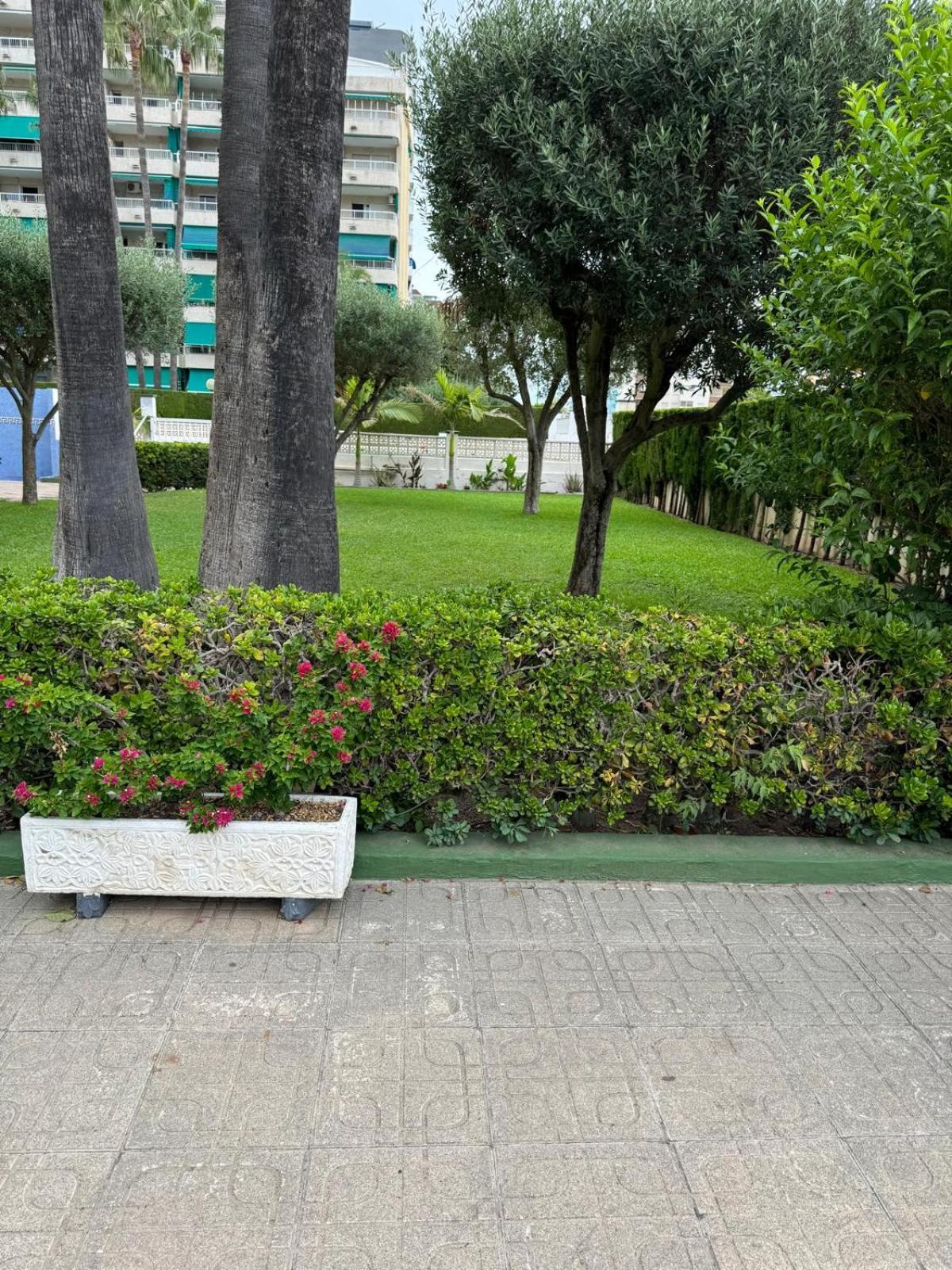 Laramar Apartment Playa de Gandia Bagian luar foto